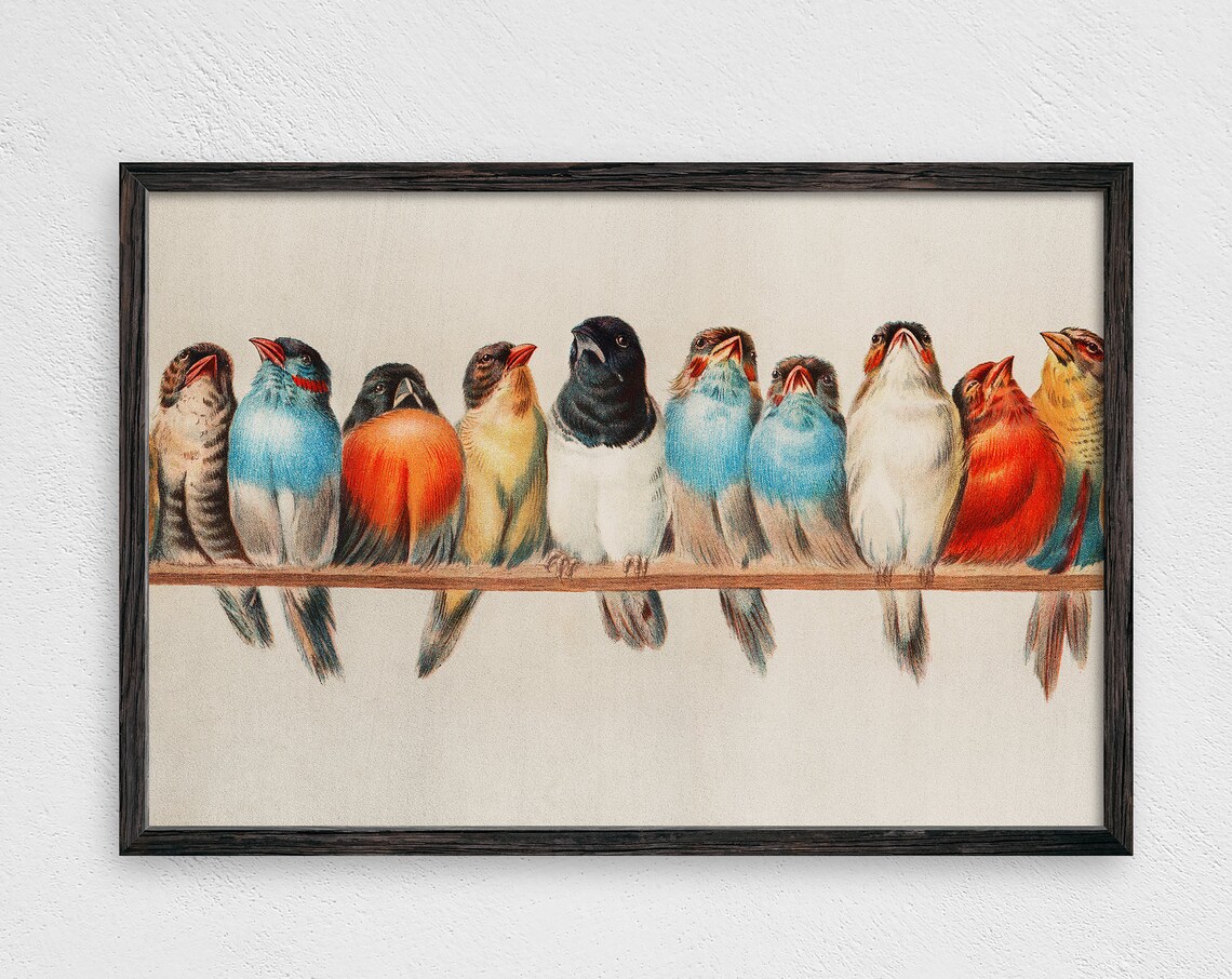 Vintage Bird Row Rustic Wall Art Print, Farm Style