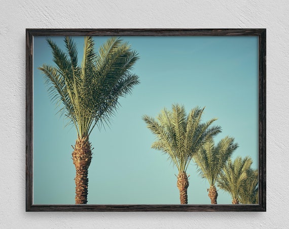 Palm Tree Print Beach Wall Decor Beach Print Hawaii Print California Tropical Palm Trees
