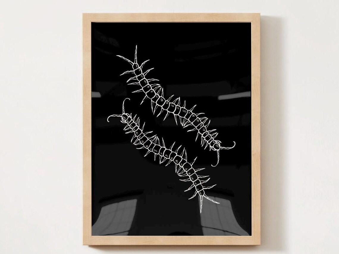 Monochrome Centipede Poster Print, Bugs For Kids - Image 3