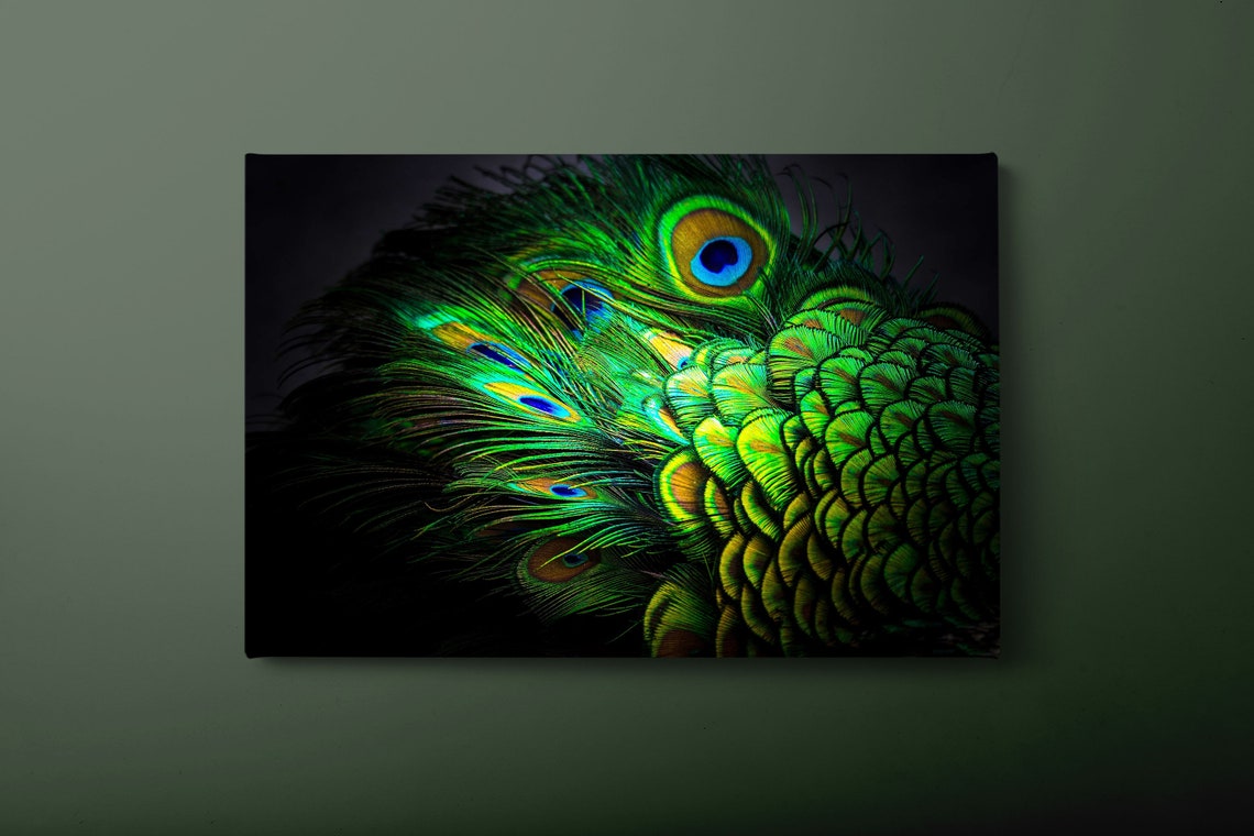 Emerald Peacock Feather Eyes Iridescent Plume Macro Detail Art Poster