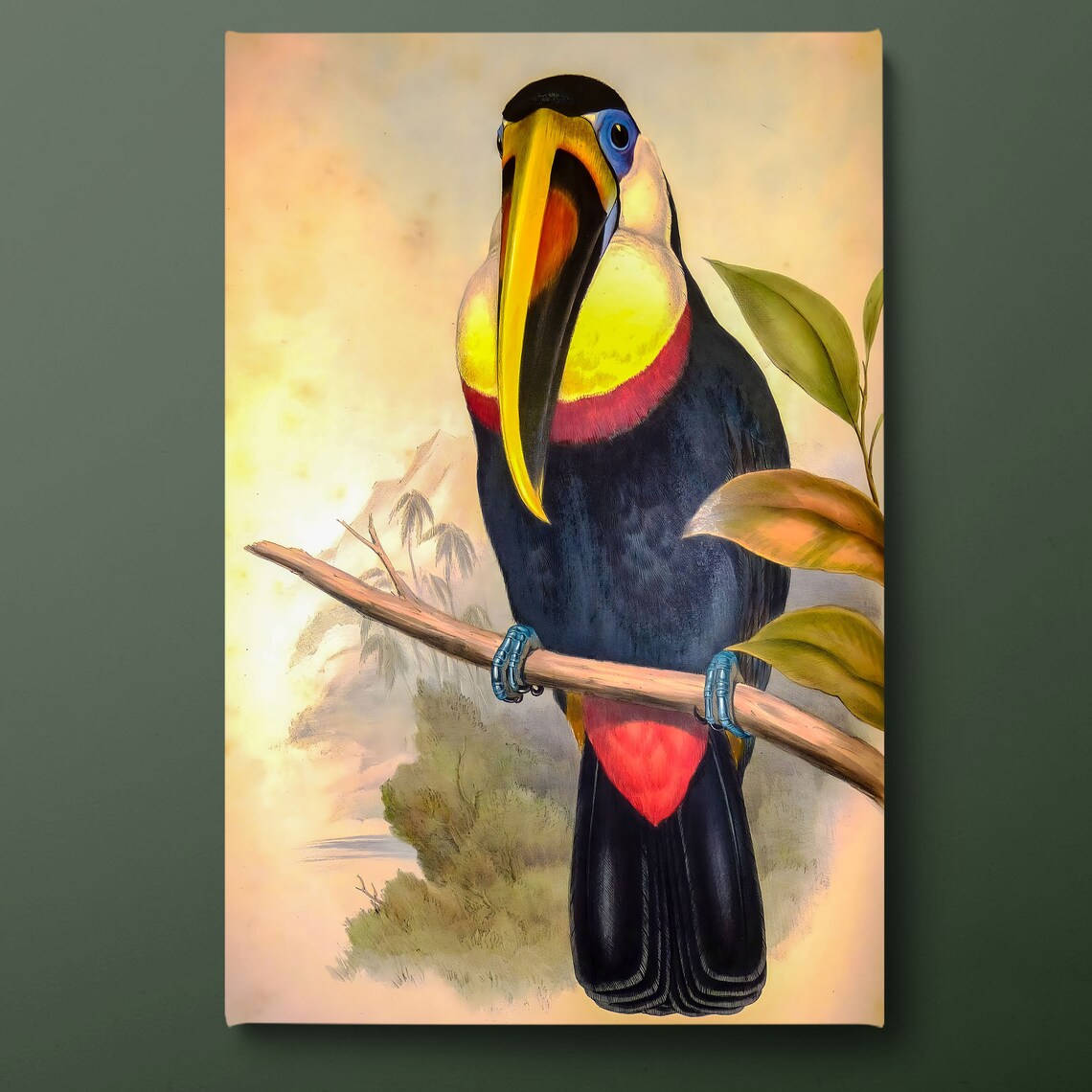 Toco Toucan Vintage Naturalist Bird Illustration Tropical Wall Poster