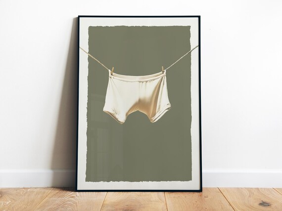 Funny Laundry Art Utility Room Decor Minimalistic Laundry Day Wall Art Funny Washing Art Hanging Underwear Poster Print