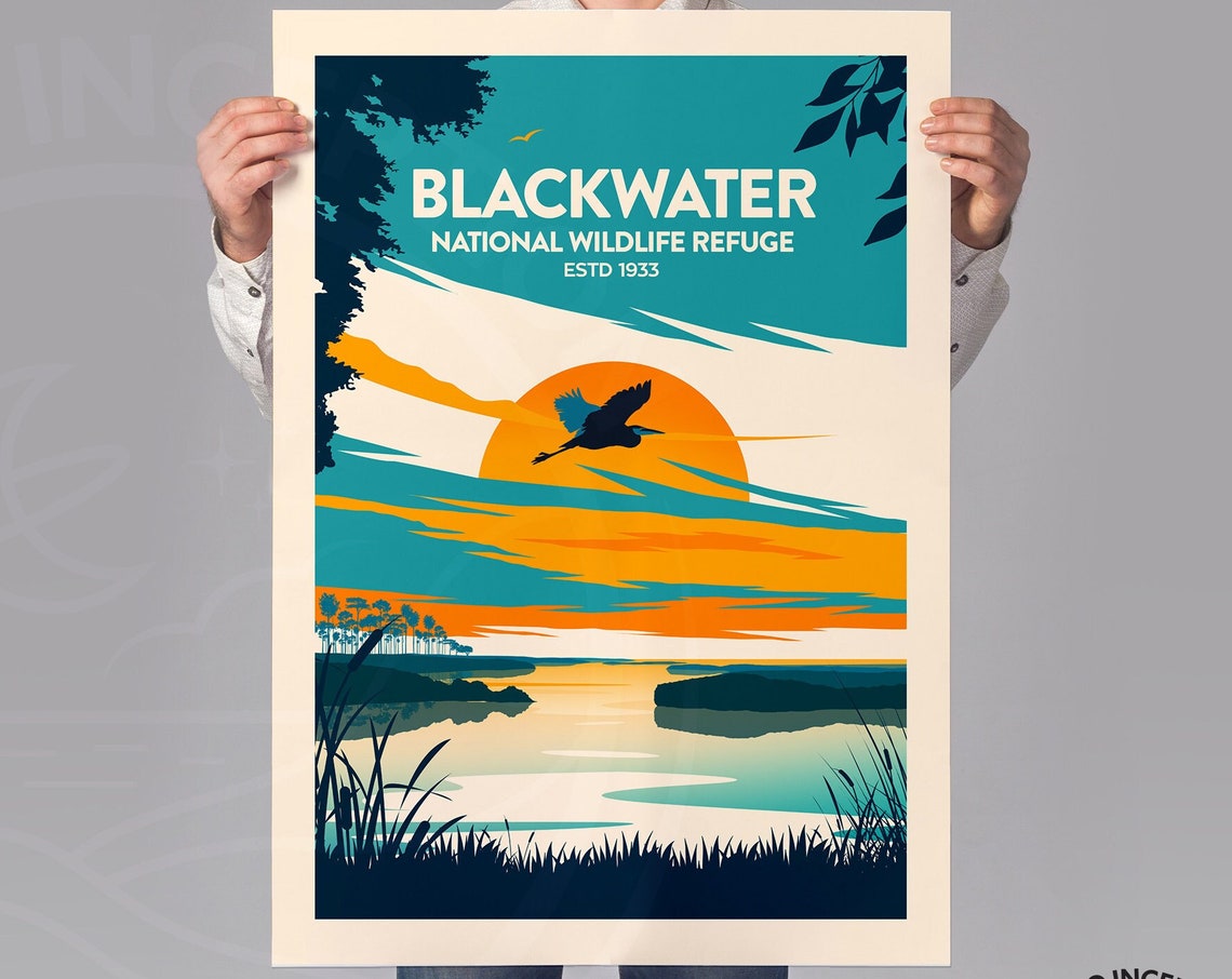Blackwater National Wildlife Refuge Print Maryland Wall Art United States Poster Atlantic Flyway Travel Gift Wildlife Art Print - Image 2