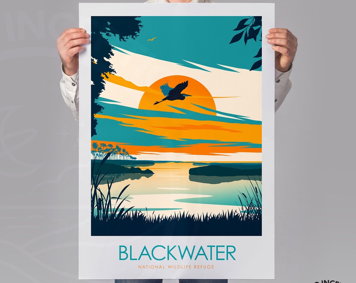 Blackwater Print National Wildlife Refuge Maryland Poster United States Travel Gift Atlantic Flyway Wildlife Art Print - Image 2