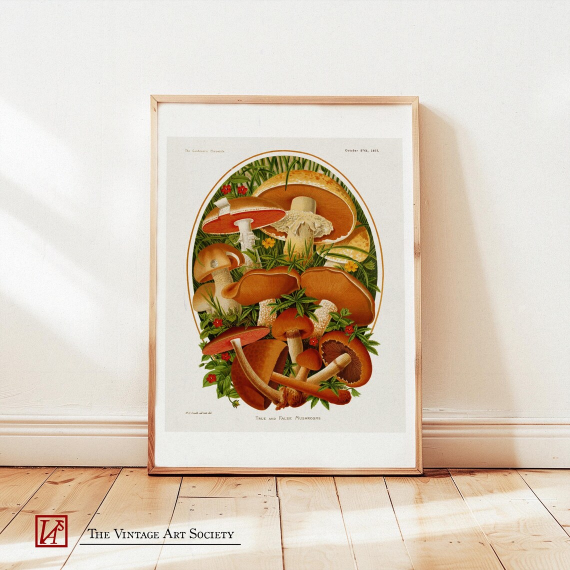 Vintage Mushroom Poster, Botanical Fungi Artwork