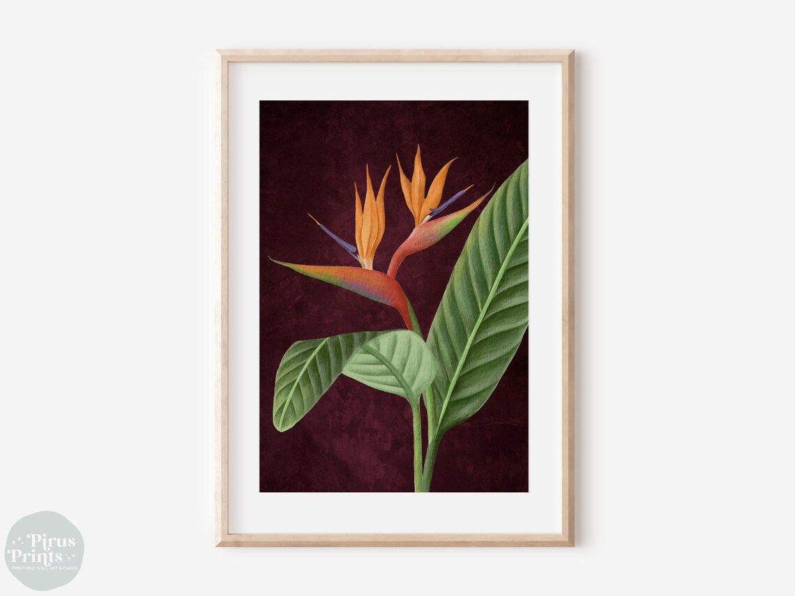 Dramatic Bird Of Paradise Botanical Burgundy Vintage Wall Art - Image 2