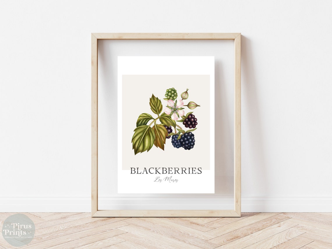 Watercolor Blackberries Botanical Print Minimal Berry Kitchen Wall Art - Image 4