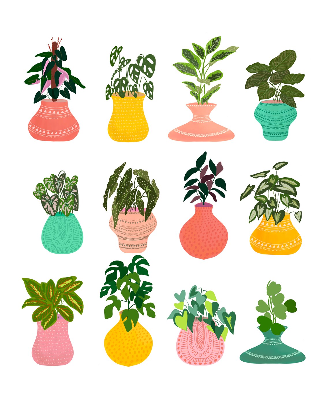 House Plant Art, Colourful Botanical Art Print - Image 2