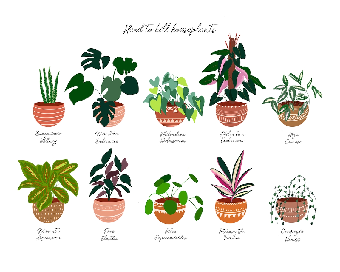 House Plant Boho Art Print, Bohemian Home Decor - Image 3