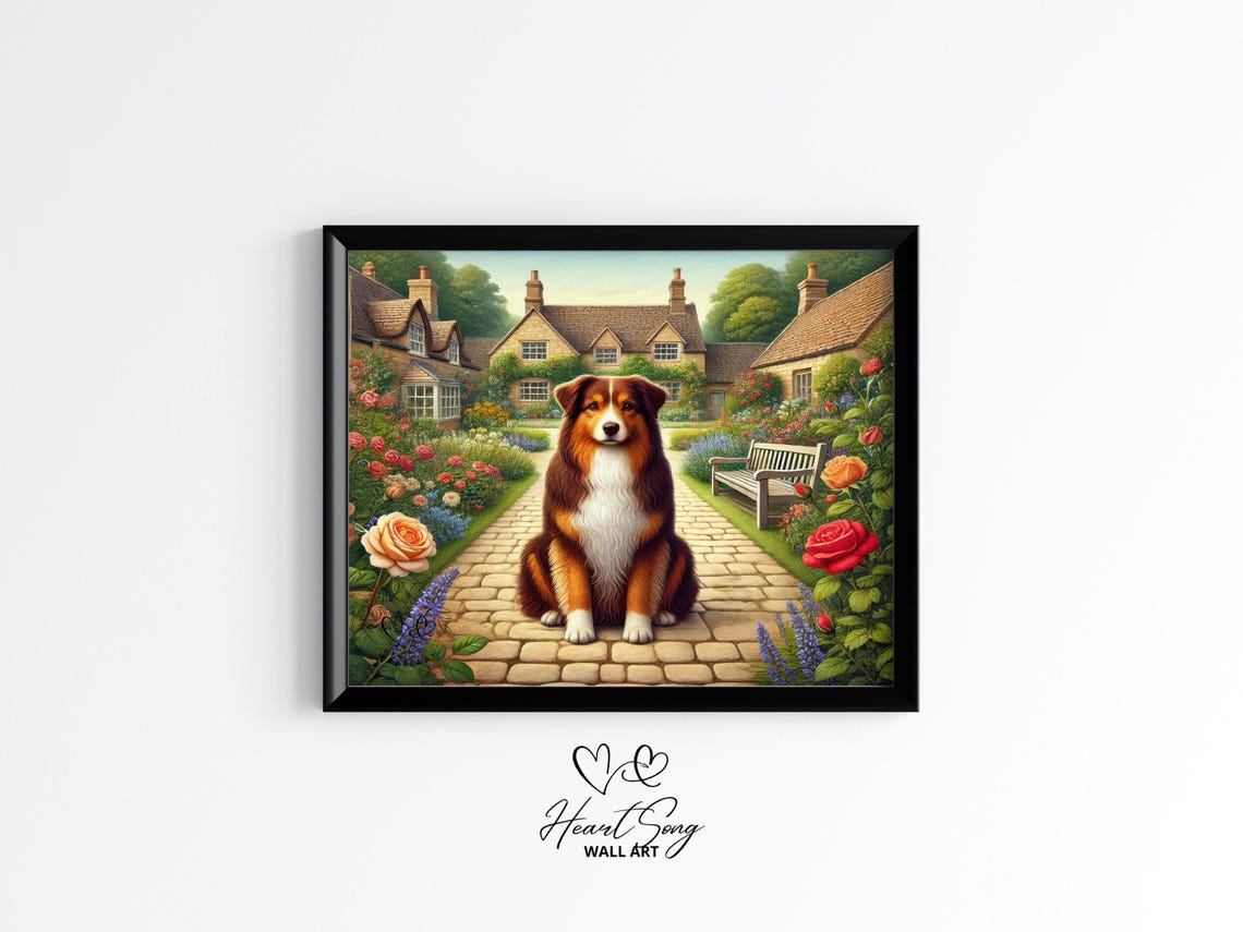 Australian Shepherd Cottage Garden Roses Summer Scene Poster