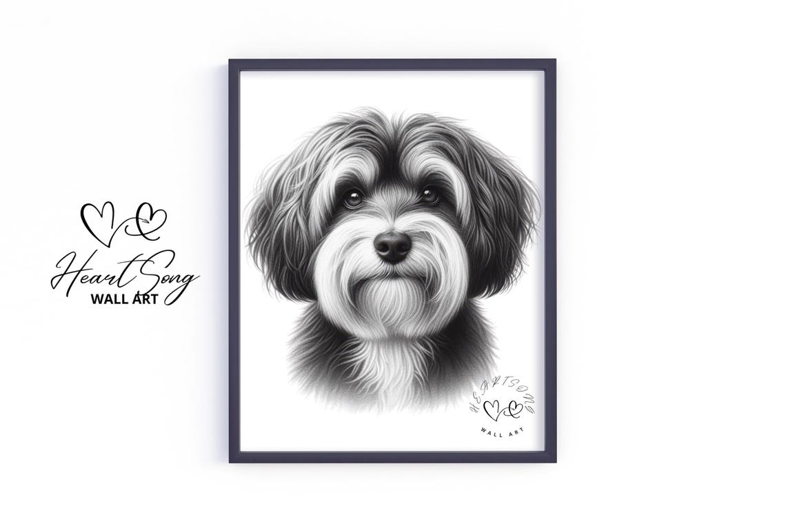Havanese Puppy Black And White Pencil Sketch Dog Portrait Poster