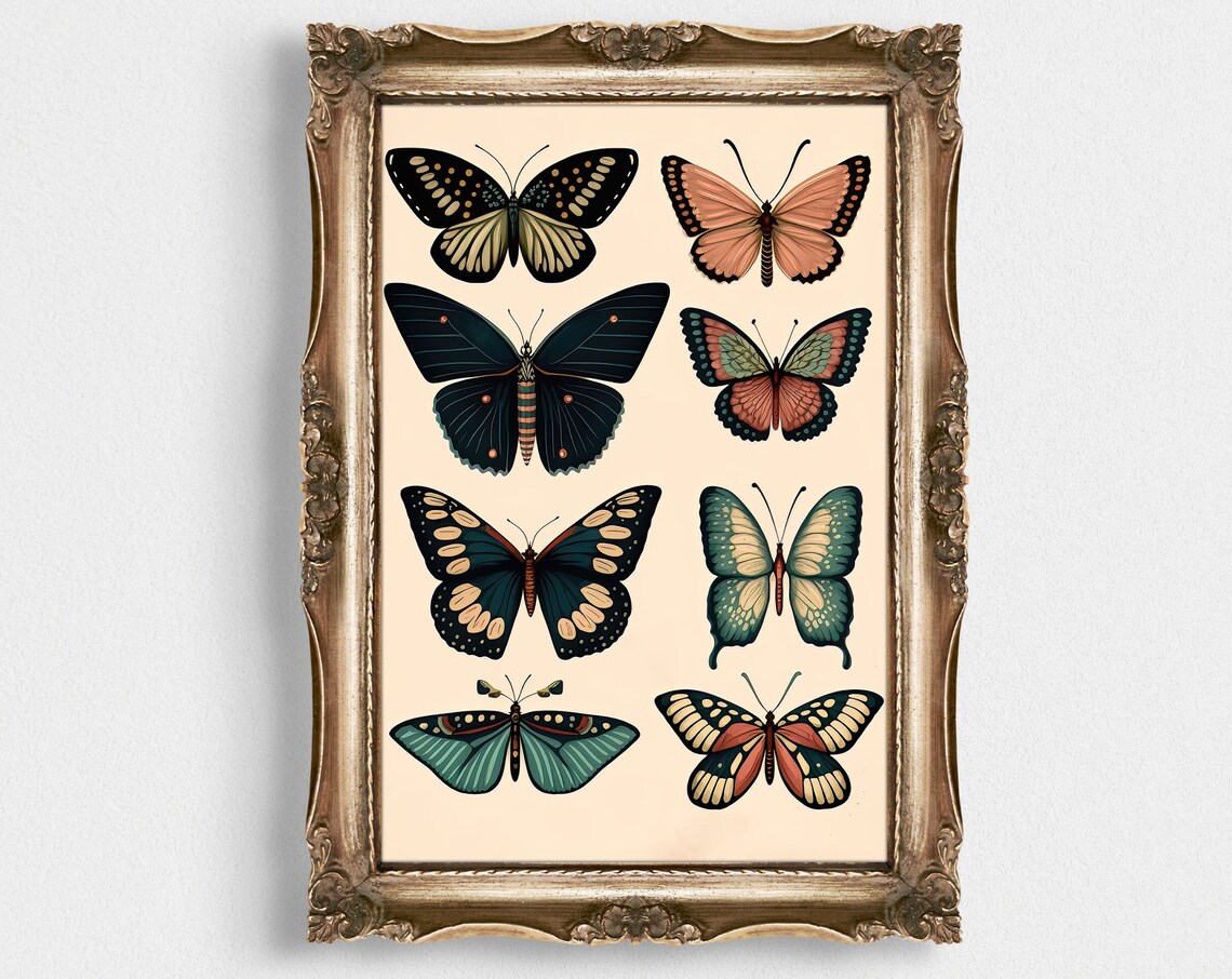 Vintage Butterfly Specimen Chart Cream Entomology Art Poster
