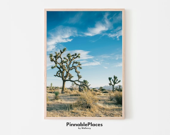 Joshua Tree Desert National Park Landscape Photography Cactus Art Print