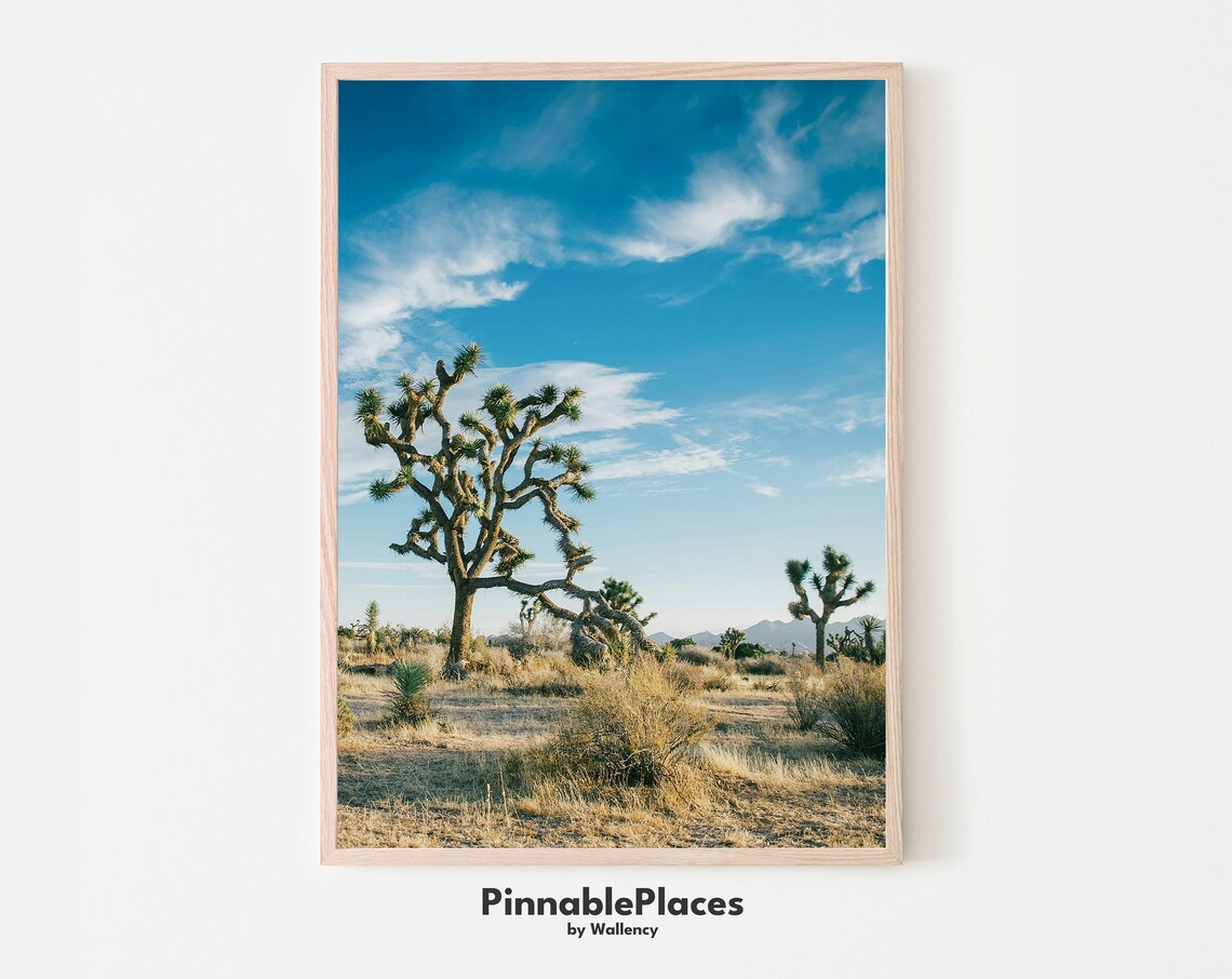 Joshua Tree Desert National Park Landscape Photography Cactus Art Print