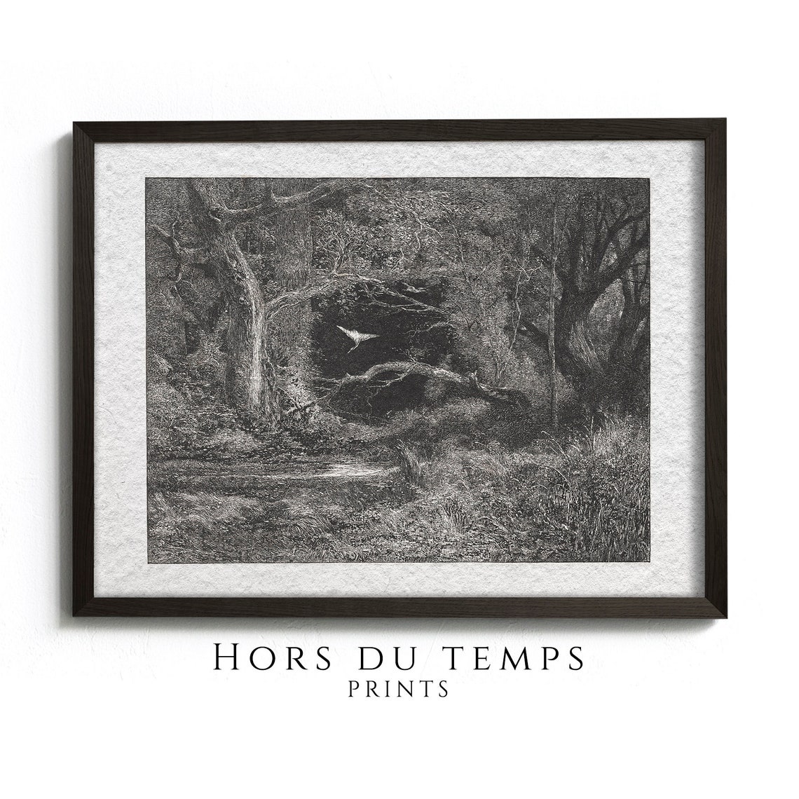 Dark Forest Engraving White Bird Flying Gothic Nature Poster