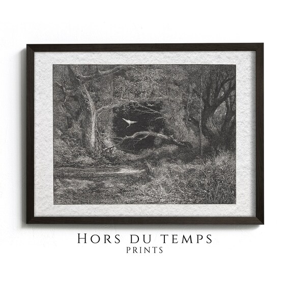 Dark Forest Engraving White Bird Flying Gothic Nature Poster