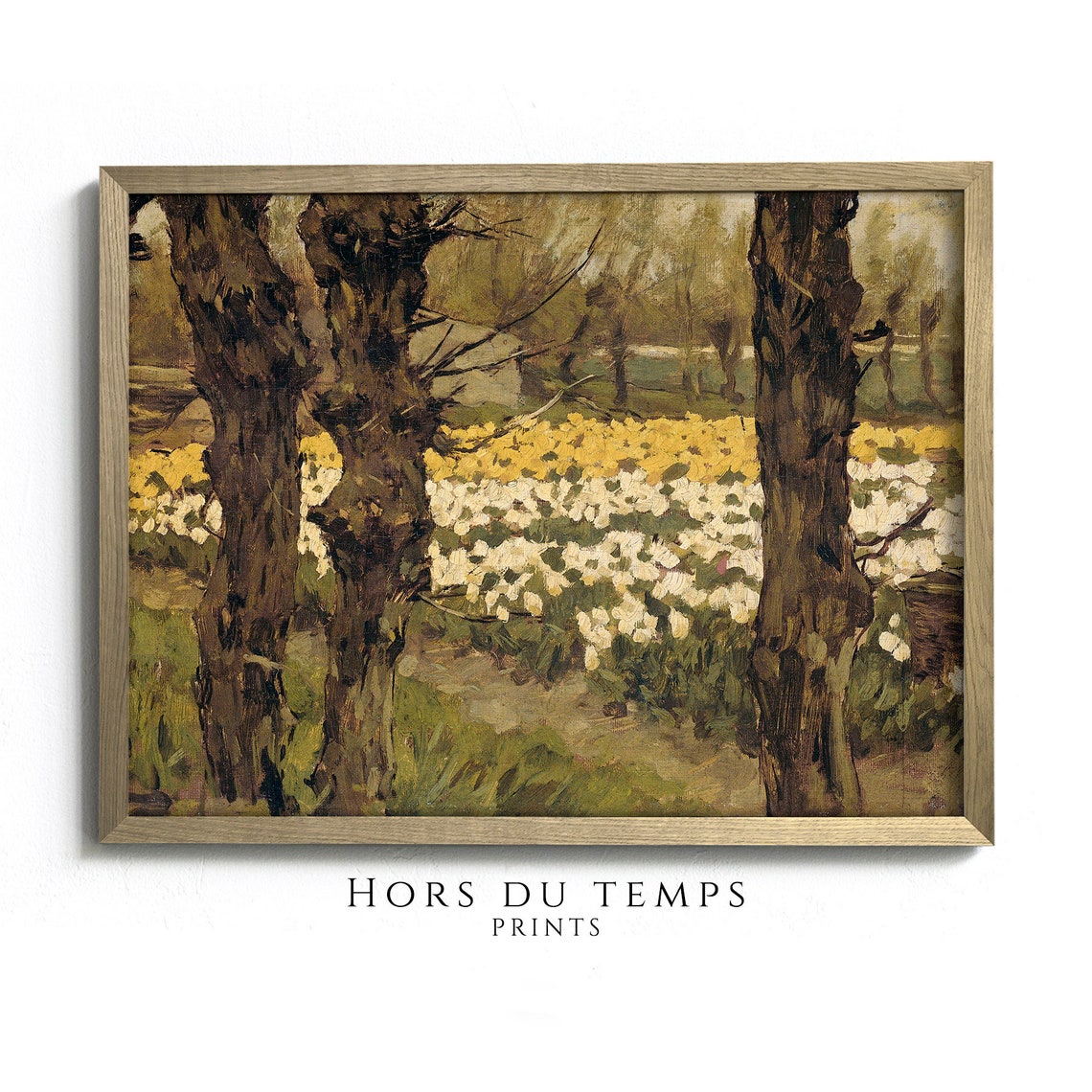 Bright Daffodil Field Gnarled Trees Vintage Spring Bloom Poster