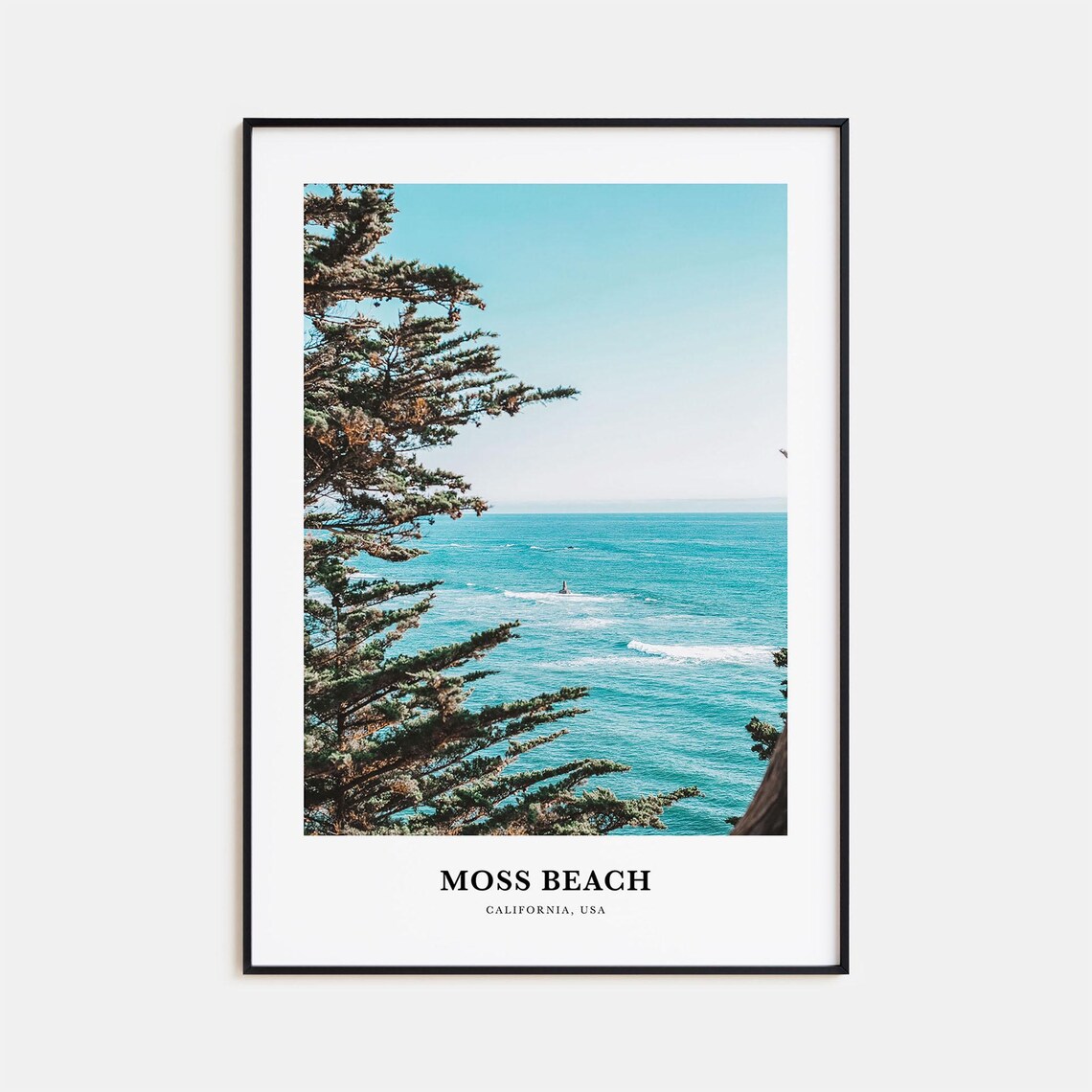 Moss Beach California Ocean Pine Trees Coastal View Photography Poster