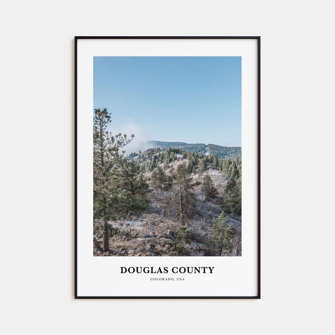 Douglas County Colorado Pine Forest Minimalist Nature Poster