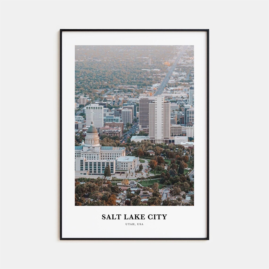 Salt Lake City Utah State Capitol Aerial Skyline Travel Photo Poster