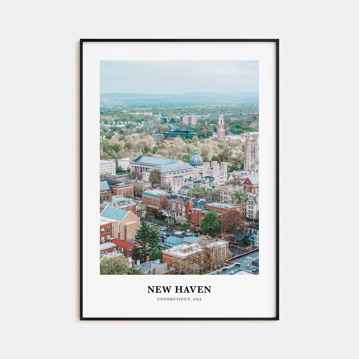 New Haven Connecticut Historic City Aerial Skyline View Photo Poster