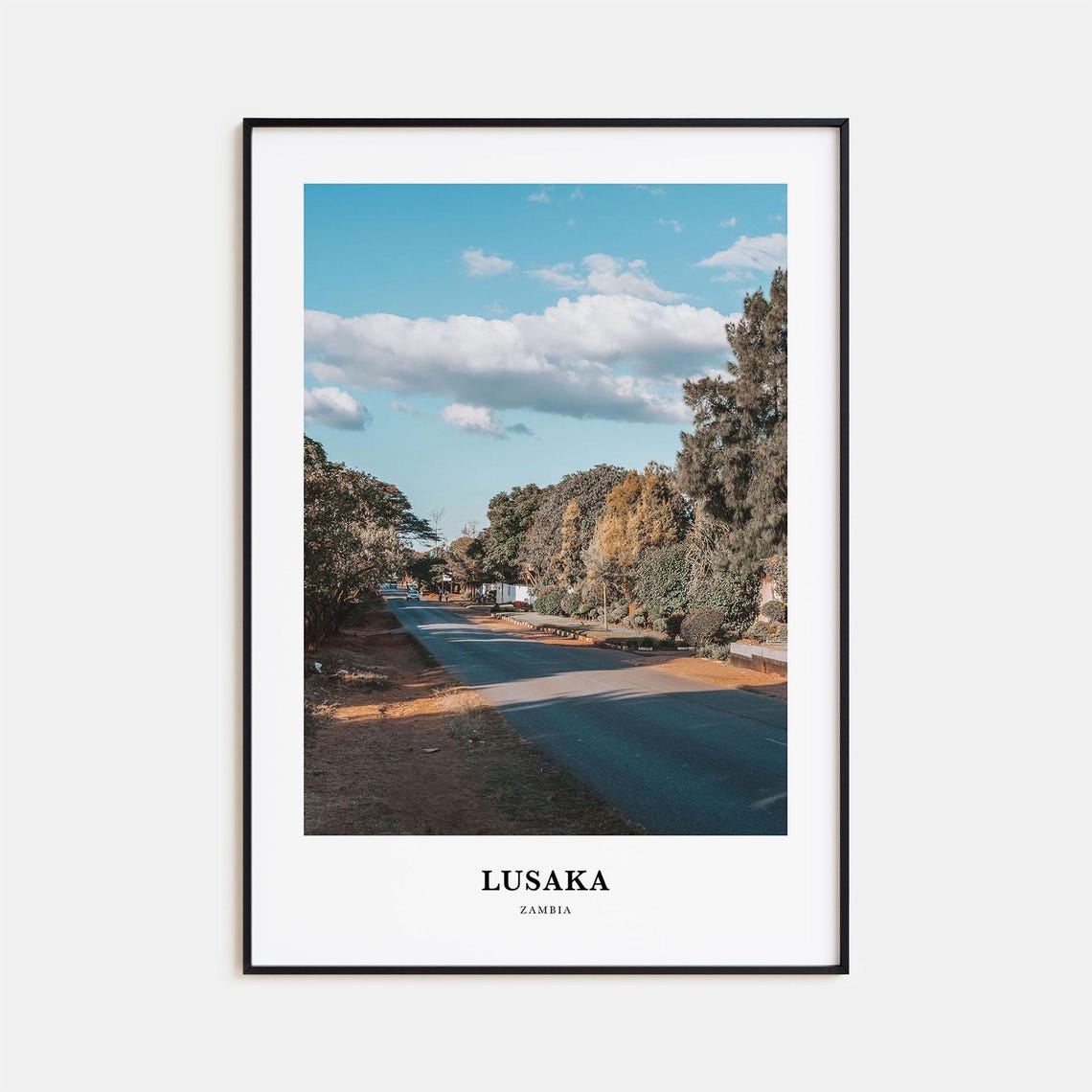 Lusaka Zambia Leafy Tree Lined Avenue Bright Day Travel Poster