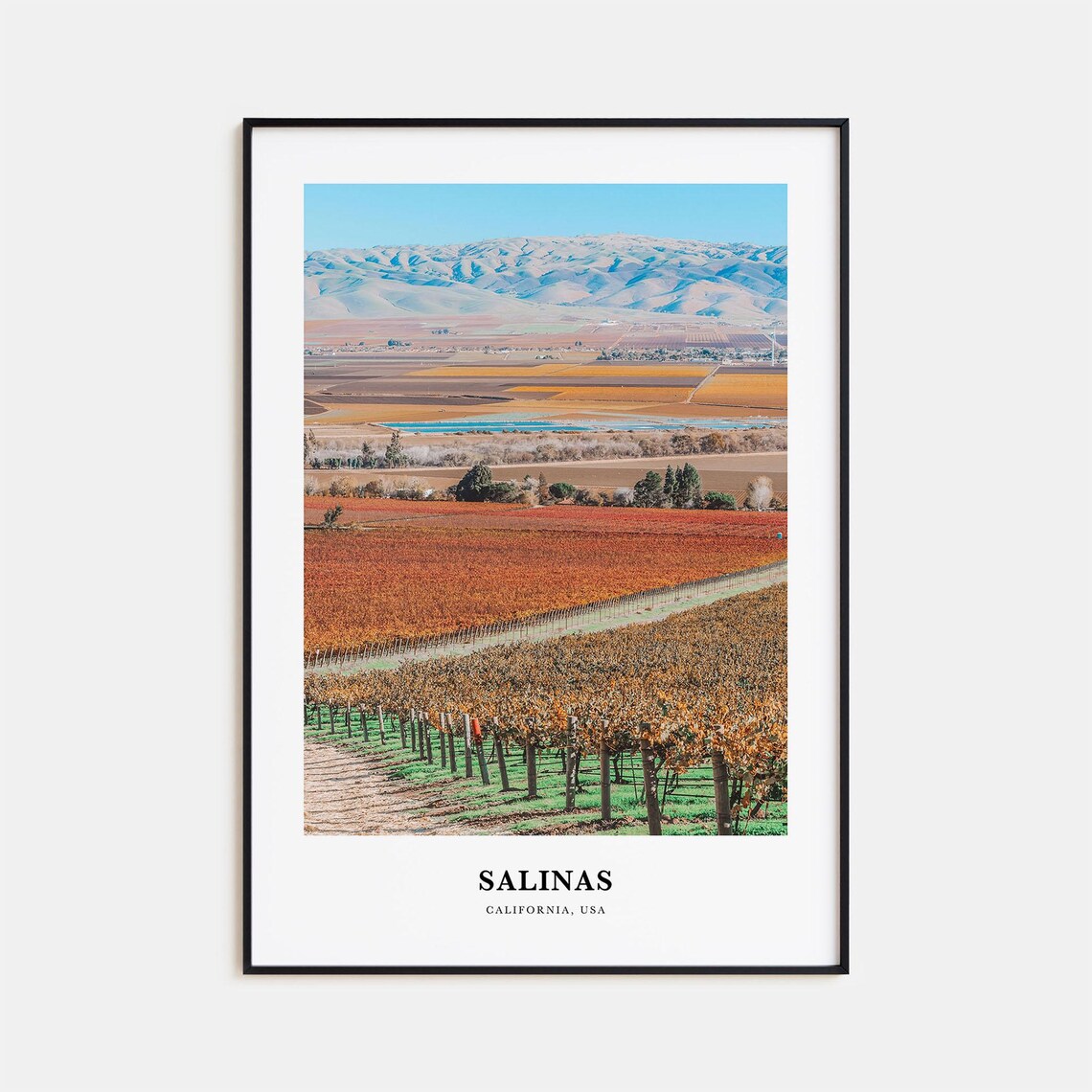 Salinas California Valley Farmland Vineyard Landscape Panorama Poster