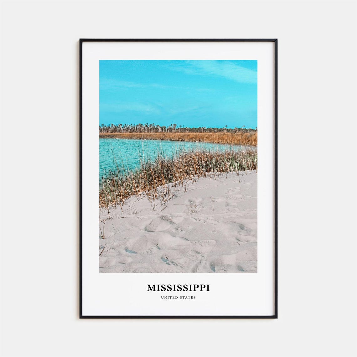 Mississippi USA White Sand Dunes Marsh Lagoon Gulf Coast Poster