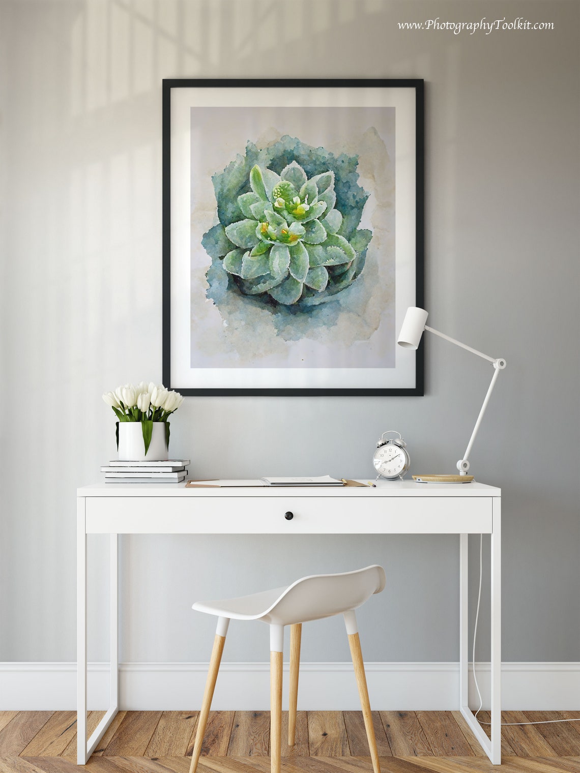 Gray Green Succulent Top View Watercolor Minimal Plant Poster - Image 2
