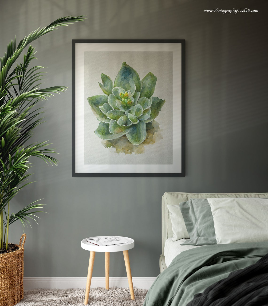 Succulent Watercolor Green Rosette Plant Botanical Style Poster - Image 2