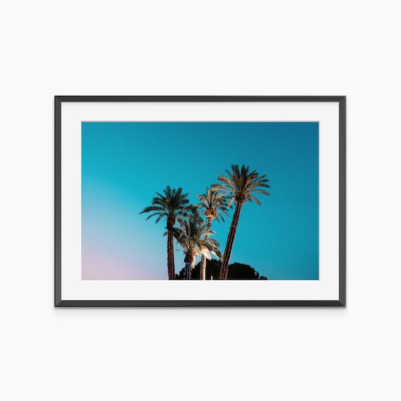 Palm Trees Against Turquoise Dusk Sky Minimalist Photo Print