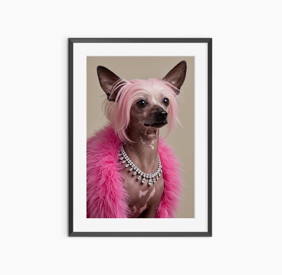 Chinese Crested Dog Photography Prints Diamond Necklace Funny Poster Print Fashion Wall Art Museum Quality
