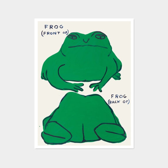 Frog Front Of Back Art Print