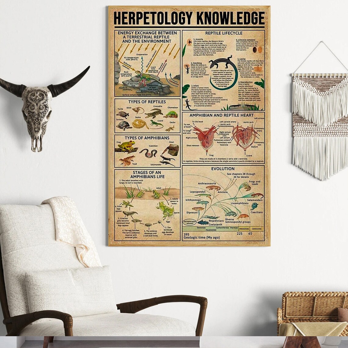 Herpetology Knowledge Anatomy Infographic, Education - Image 4