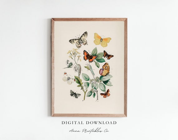 Vintage Butterfly Illustration Poster Antique Cottagecore Wall Art Insect Drawing Plant And Nature Decor