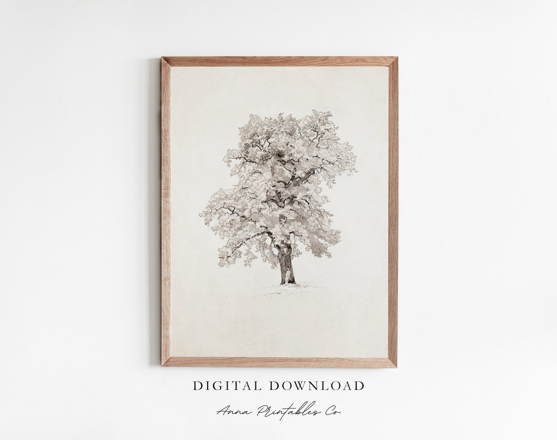 Antique Oak Tree Fine Botanical Sketch Minimalist Nature Poster
