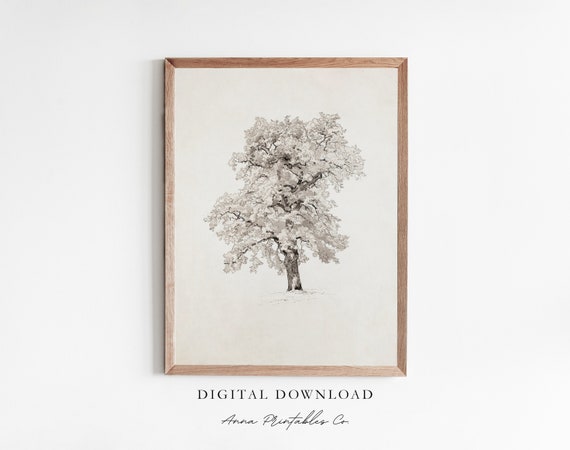 Tree Sketch Viii Antique Oak Drawing Print For Vintage Minimalist Wall Art Rustic Farmhouse Fine Art Print