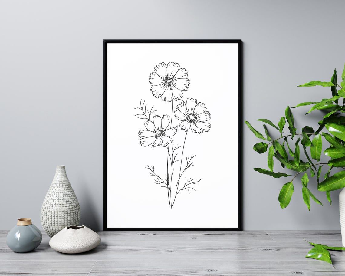 Cosmos Flowers Line Art Delicate Botanical Floral Drawing Poster - Image 3