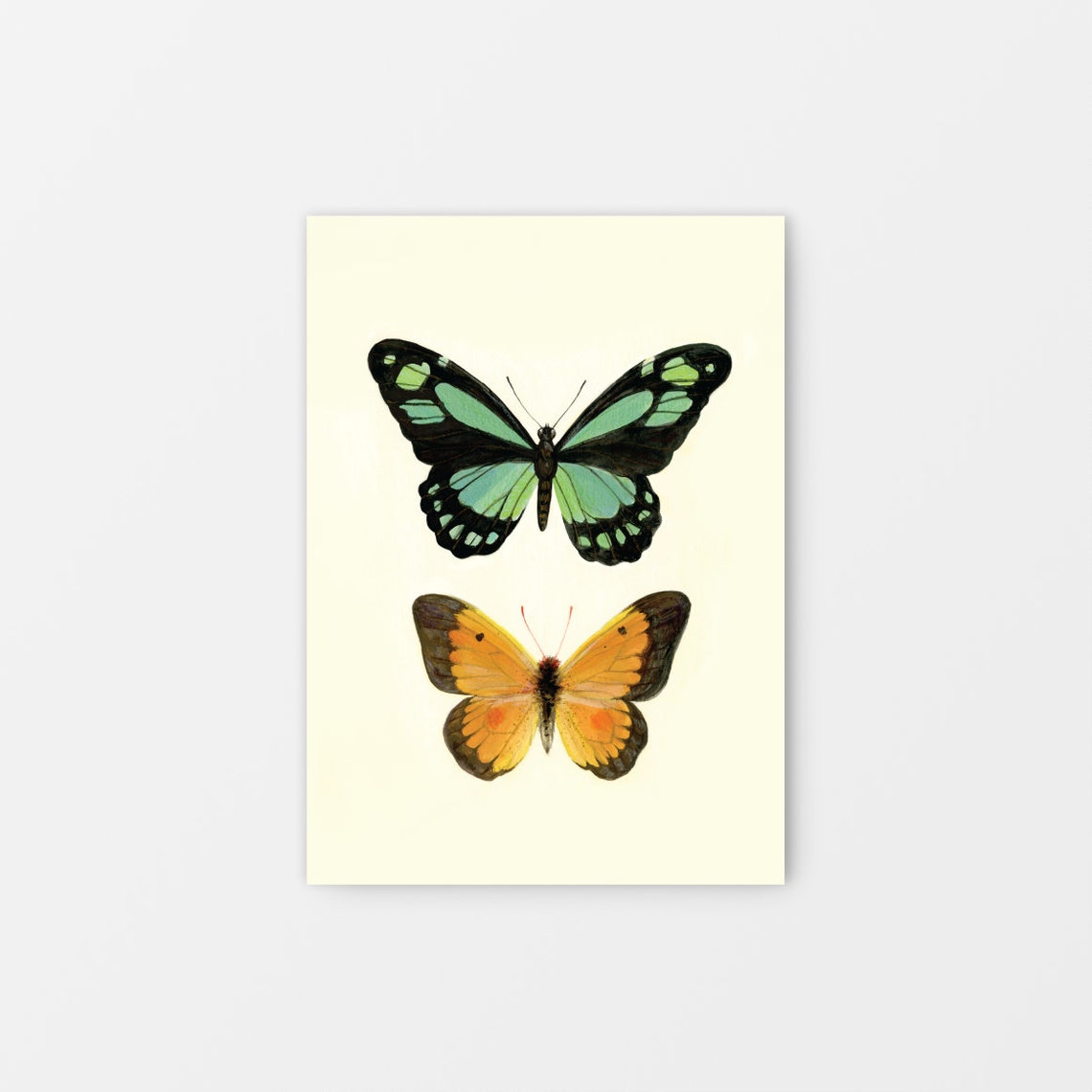 Butterfly No1 Gouache Art Print