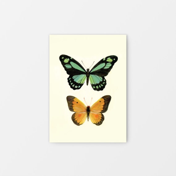 Butterfly No1 Gouache Art Print