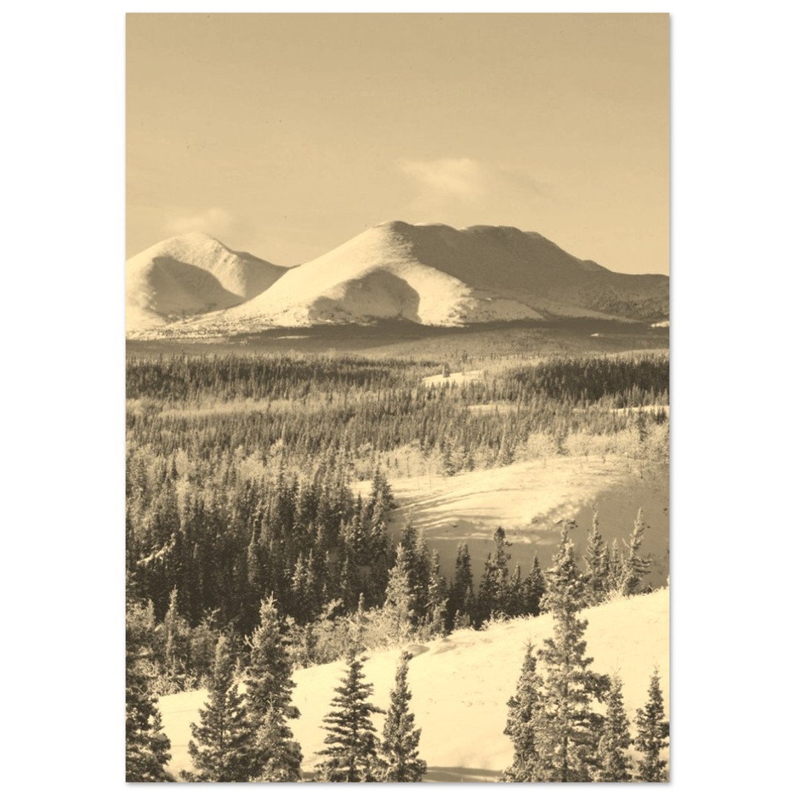 Whitehorse Yukon Snowy Mountain Forest Winter Landscape Poster Sepia