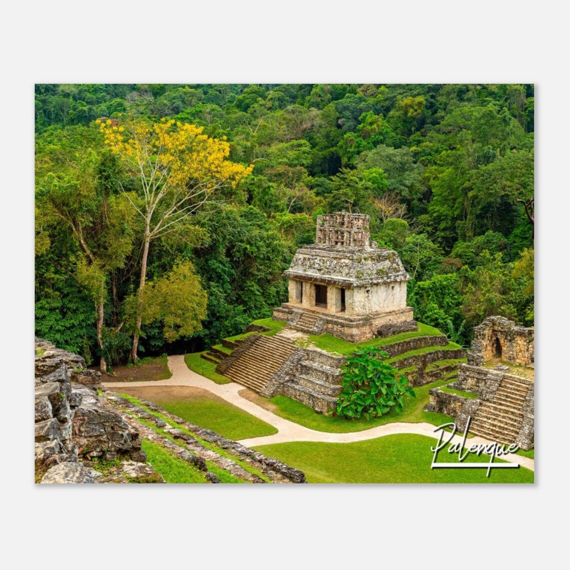 Palenque Mexico Mayan Pyramid Jungle Ruins Travel Photo Poster