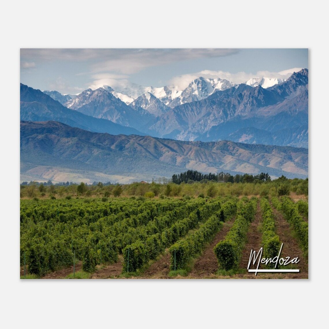 Mendoza Argentina Travel Poster, Vineyard Andes Mountains