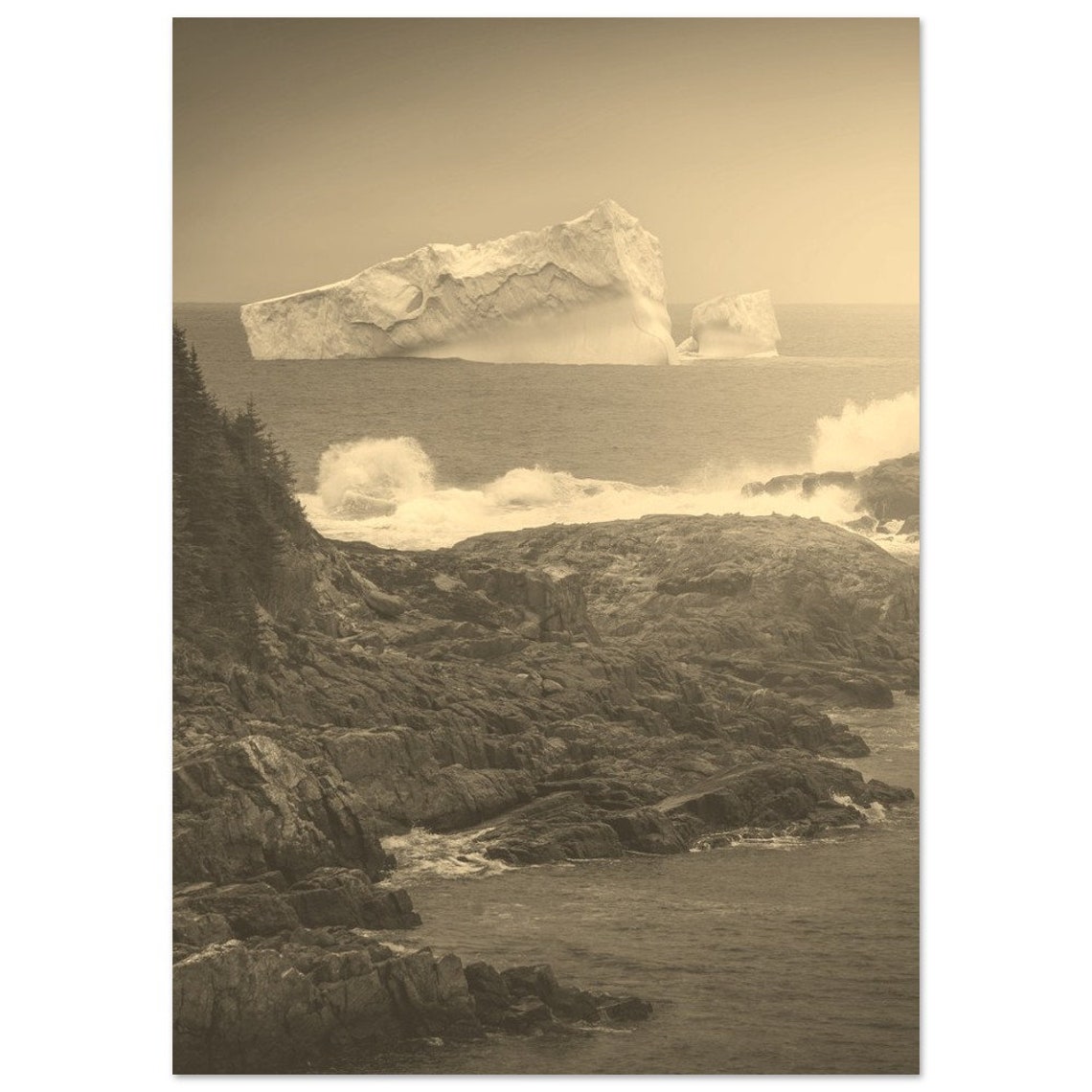 Newfoundland Iceberg Sepia Rocky Coast Dramatic Seascape Poster
