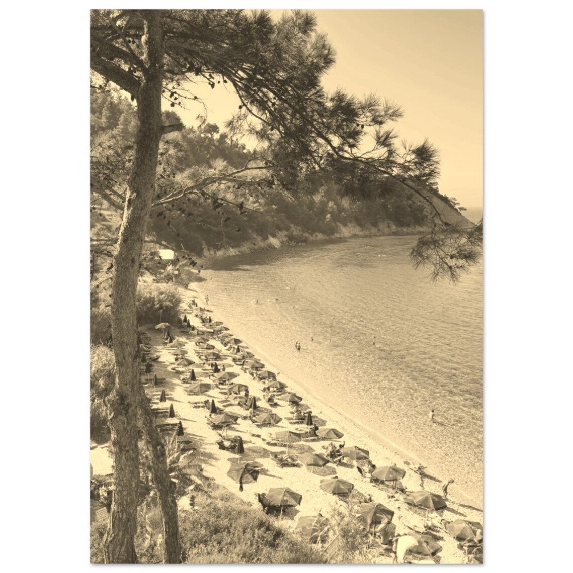 Vintage Greek Beach Pine Trees Umbrellas Sepia Travel Poster