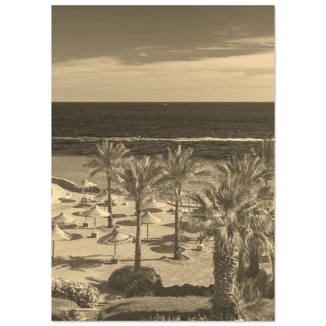 Hurghada Egypt Palm Beach Sepia Vintage Travel Beach Photo Poster