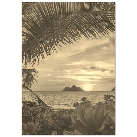 Vintage Sepia Tropical Palm Beach Sunset Ocean Island Photo Poster
