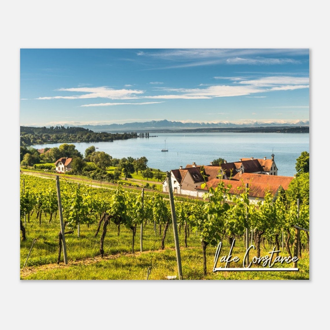 Lake Constance Vineyard Lakeside Panorama Scenic Travel Poster