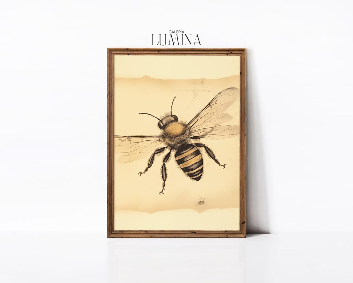 Vintage Bee Drawing Rustic Insect Sketch Antique Botanical Animal Illustration Entomology Art Print Art Frame Tv Art 893 - Image 2