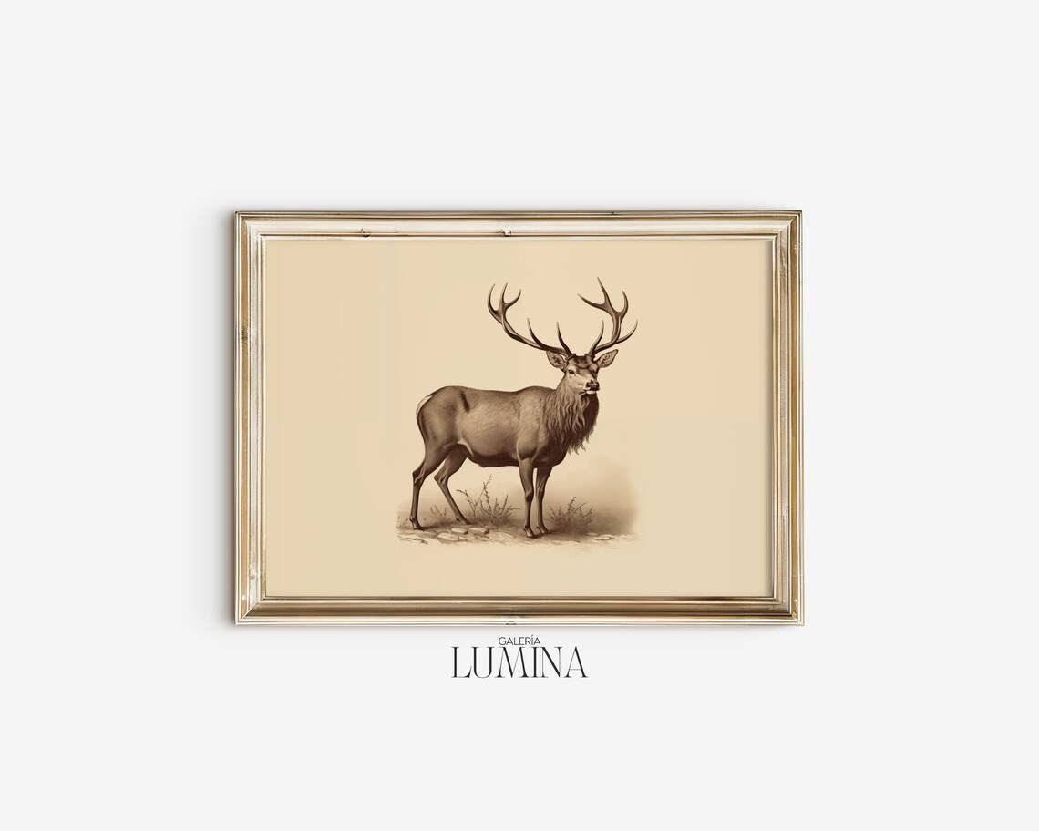 Vintage Stag Drawing Antique Deer Illustration Art Print - Image 2